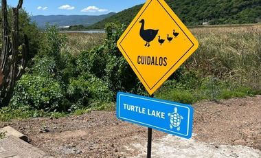 Excelentes terrenos en venta en Turtle Lake.