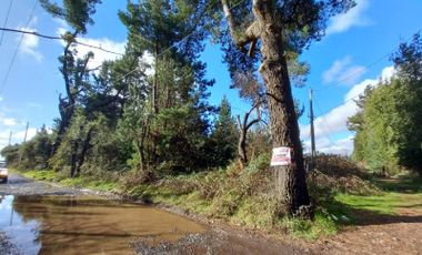 Los Espinos Km 11, Camino a Coihueco