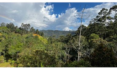 Venta Ultimos Lotes Sin Registro Vista Bosque Parcelacion Fizebad