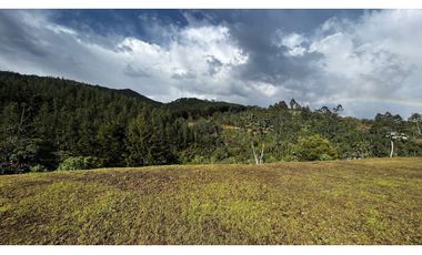 Venta Ultimos Lotes Sin Registro Vista Bosque Parcelacion Fizebad
