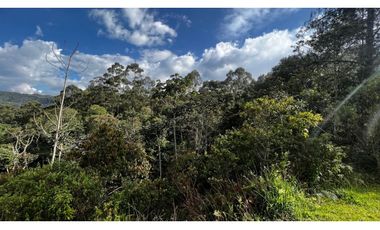 Venta Ultimos Lotes Sin Registro Vista Bosque Parcelacion Fizebad
