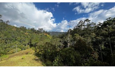 Venta Ultimos Lotes Sin Registro Vista Bosque Parcelacion Fizebad