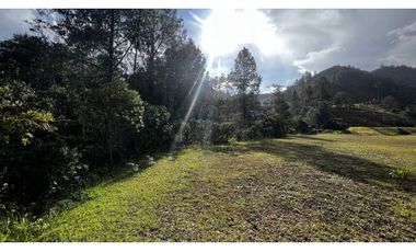 Venta Ultimos Lotes Sin Registro Vista Bosque Parcelacion Fizebad