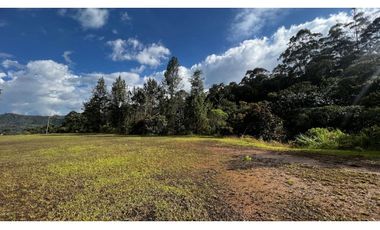 Venta Ultimos Lotes Sin Registro Vista Bosque Parcelacion Fizebad