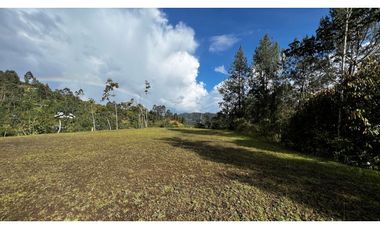 Venta Ultimos Lotes Sin Registro Vista Bosque Parcelacion Fizebad