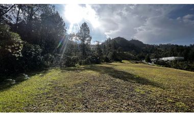 Venta Ultimos Lotes Sin Registro Vista Bosque Parcelacion Fizebad