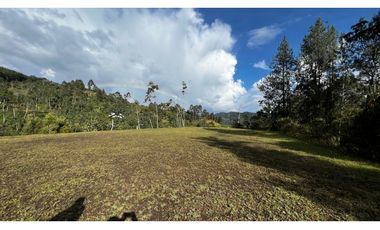 Venta Ultimos Lotes Sin Registro Vista Bosque Parcelacion Fizebad