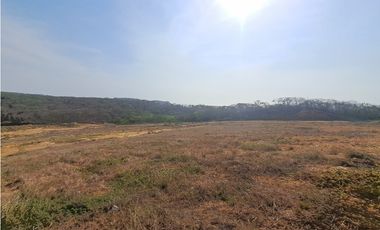 LOTE CAMPESTRE VIA AL MAR TUBARA