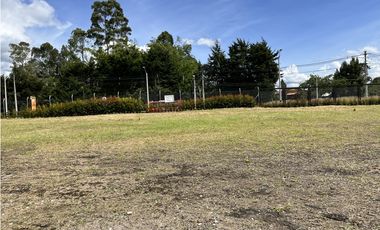 Venta de  Lote para bodega Rionegro
