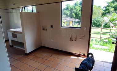 finca en arriendo en la ceja. Cod A62990