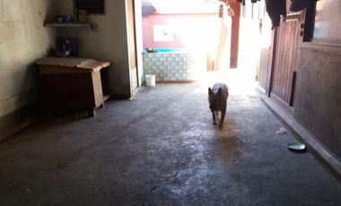 Venta de Casa 4 dormitorios, Pompeya.