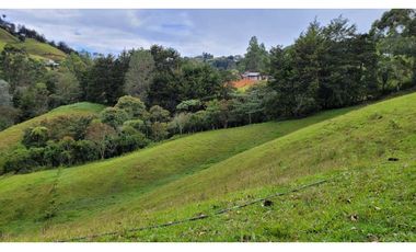 Venta de Terreno con 3 Matriculas Ubicado en Rionegro El Higuerón