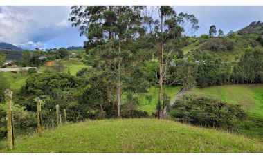 Venta de Terreno con 3 Matriculas Ubicado en Rionegro El Higuerón