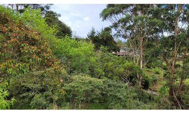 Venta de Terreno con 3 Matriculas Ubicado en Rionegro El Higuerón