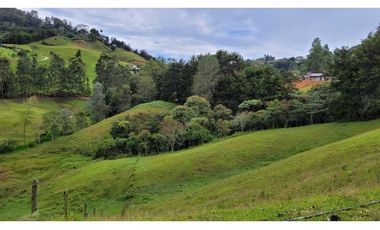 Venta de Terreno con 3 Matriculas Ubicado en Rionegro El Higuerón