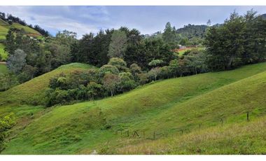 Venta de Terreno con 3 Matriculas Ubicado en Rionegro El Higuerón