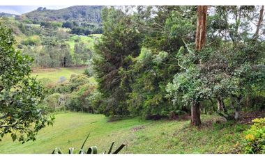 Venta de Terreno con 3 Matriculas Ubicado en Rionegro El Higuerón