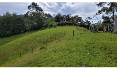 Venta de Terreno con 3 Matriculas Ubicado en Rionegro El Higuerón