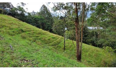 Venta de Terreno con 3 Matriculas Ubicado en Rionegro El Higuerón