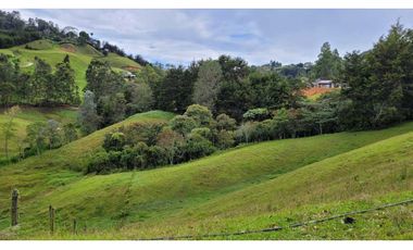 Venta de Terreno con 3 Matriculas Ubicado en Rionegro El Higuerón