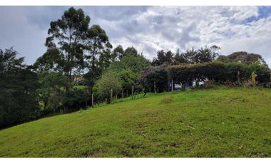 Venta de Terreno con 3 Matriculas Ubicado en Rionegro El Higuerón