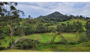 Venta de Terreno con 3 Matriculas Ubicado en Rionegro El Higuerón