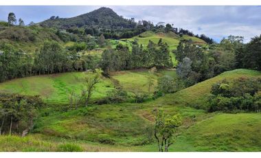 Venta de Terreno con 3 Matriculas Ubicado en Rionegro El Higuerón