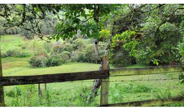 Venta de Terreno con 3 Matriculas Ubicado en Rionegro El Higuerón