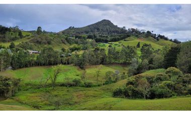 Venta de Terreno con 3 Matriculas Ubicado en Rionegro El Higuerón