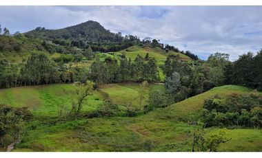 Venta de Terreno con 3 Matriculas Ubicado en Rionegro El Higuerón