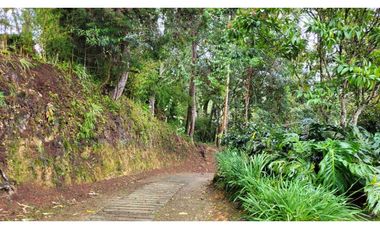 Venta de Terreno con 3 Matriculas Ubicado en Rionegro El Higuerón