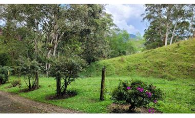 Venta de Terreno con 3 Matriculas Ubicado en Rionegro El Higuerón