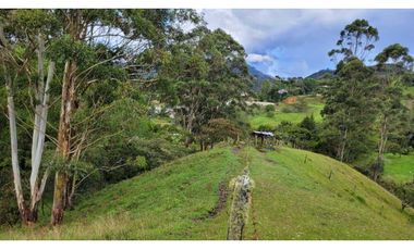 Venta de Terreno con 3 Matriculas Ubicado en Rionegro El Higuerón