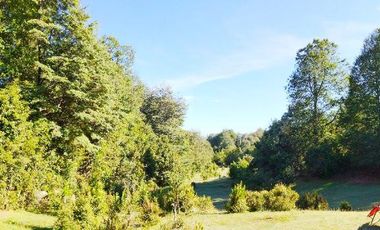 Oportunidad De Terreno Para Inversión, Pucón