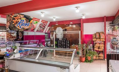 GALPON + LOCAL COMERCIAL VENTA MACROCENTRO 454 M2