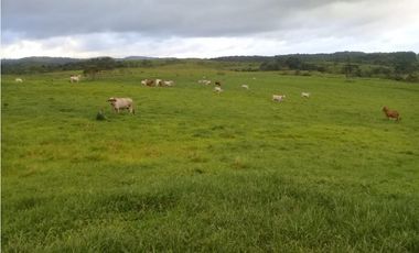 Terreno venta en La Chorrera, El Coco
