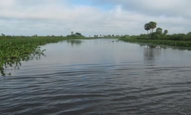 Campo en Formosa