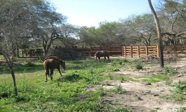 Campo en Formosa