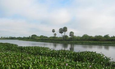 Campo en Formosa