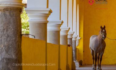 Ex Hacienda La Parreña del Siglo XIX  El Arenal , Jalisco . A 30 min de Gdl.