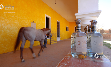 Ex Hacienda La Parreña del Siglo XIX  El Arenal , Jalisco . A 30 min de Gdl.