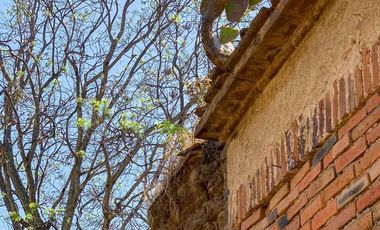 Ex Hacienda La Parreña del Siglo XIX  El Arenal , Jalisco . A 30 min de Gdl.