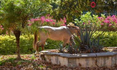 Ex Hacienda La Parreña del Siglo XIX  El Arenal , Jalisco . A 30 min de Gdl.