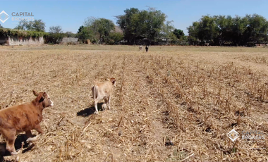 Ex Hacienda La Parreña del Siglo XIX  El Arenal , Jalisco . A 30 min de Gdl.