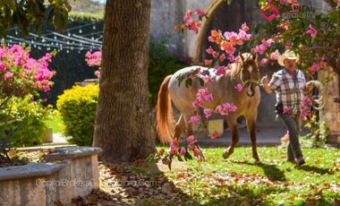 Ex Hacienda La Parreña del Siglo XIX  El Arenal , Jalisco . A 30 min de Gdl.