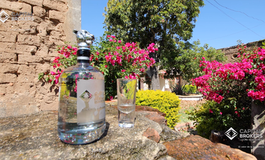 Ex Hacienda La Parreña del Siglo XIX  El Arenal , Jalisco . A 30 min de Gdl.