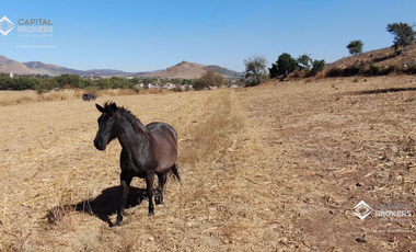 Ex Hacienda La Parreña del Siglo XIX  El Arenal , Jalisco . A 30 min de Gdl.