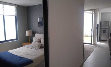 vic Viñedos San Marcos