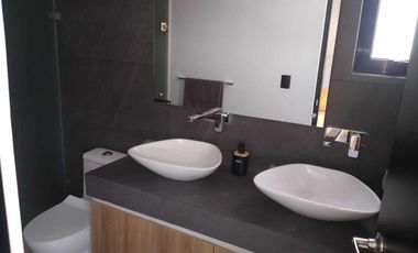 vic Viñedos San Marcos