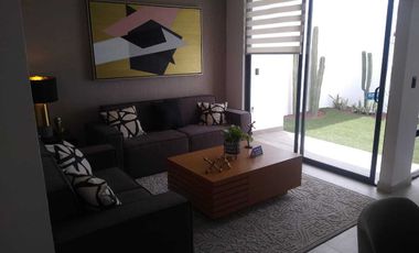 vic Viñedos San Marcos